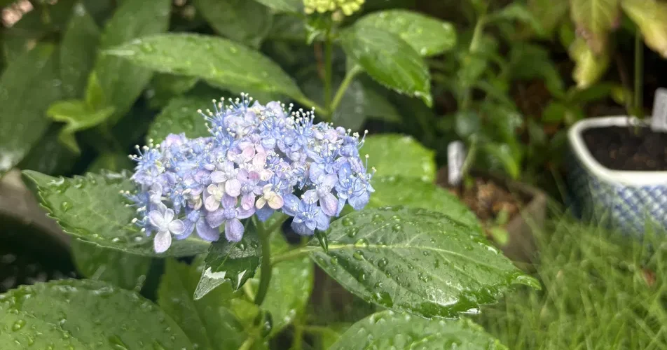 はじめまして_thumbnail