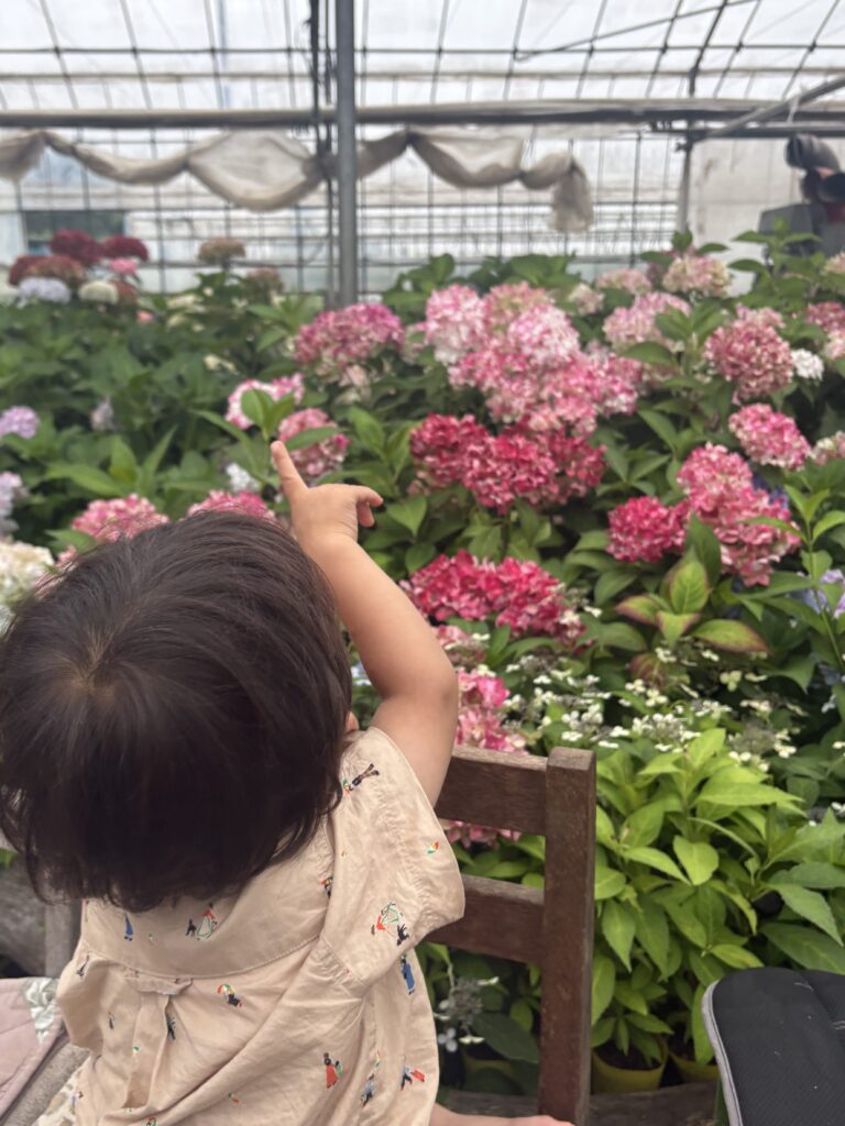 白寿紅に大興奮の息子